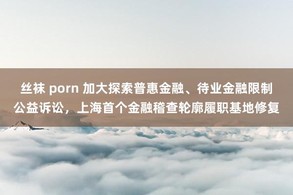 丝袜 porn 加大探索普惠金融、待业金融限制公益诉讼，上海首个金融稽查轮廓履职基地修复