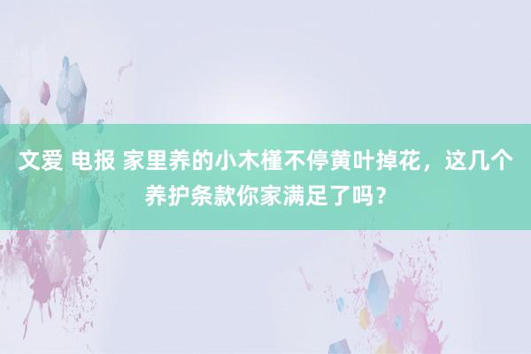 文爱 电报 家里养的小木槿不停黄叶掉花，这几个养护条款你家满足了吗？