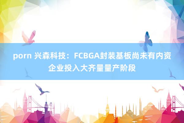 porn 兴森科技：FCBGA封装基板尚未有内资企业投入大齐量量产阶段