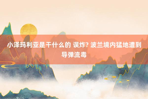 小泽玛利亚是干什么的 误炸? 波兰境内猛地遭到导弹流毒