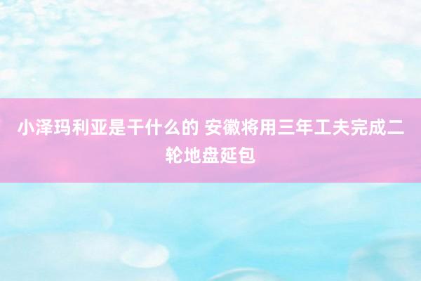 小泽玛利亚是干什么的 安徽将用三年工夫完成二轮地盘延包