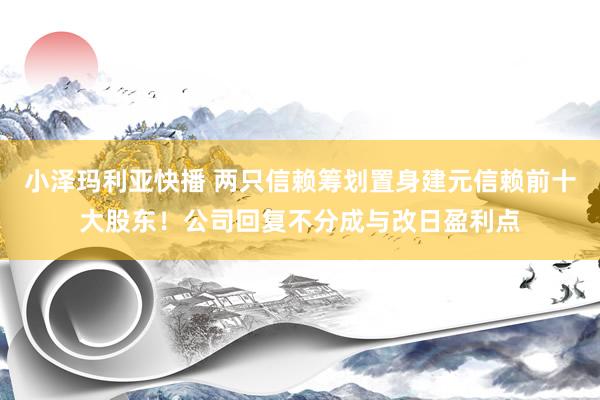 小泽玛利亚快播 两只信赖筹划置身建元信赖前十大股东！公司回复不分成与改日盈利点