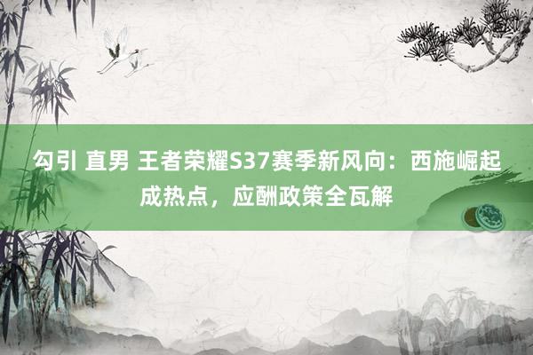 勾引 直男 王者荣耀S37赛季新风向：西施崛起成热点，应酬政策全瓦解