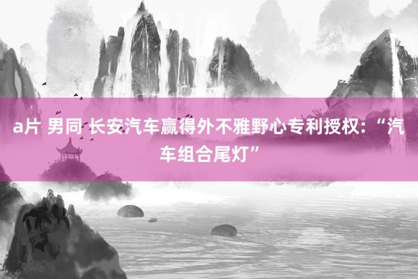 a片 男同 长安汽车赢得外不雅野心专利授权: “汽车组合尾灯”