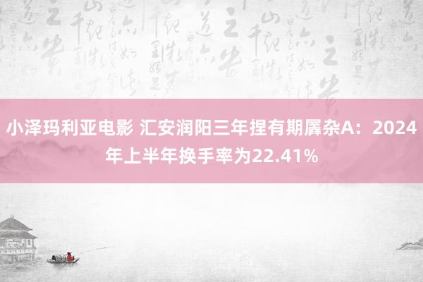 小泽玛利亚电影 汇安润阳三年捏有期羼杂A：2024年上半年换手率为22.41%