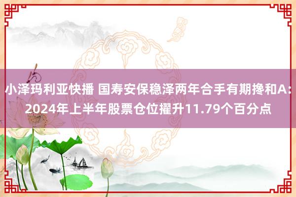 小泽玛利亚快播 国寿安保稳泽两年合手有期搀和A：2024年上半年股票仓位擢升11.79个百分点