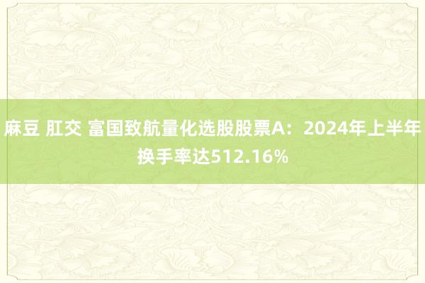 麻豆 肛交 富国致航量化选股股票A：2024年上半年换手率达512.16%