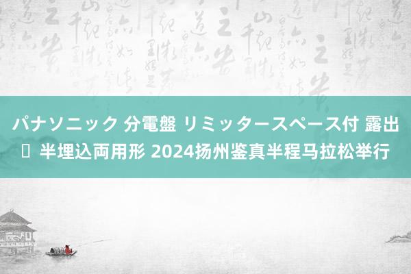 パナソニック 分電盤 リミッタースペース付 露出・半埋込両用形 2024扬州鉴真半程马拉松举行