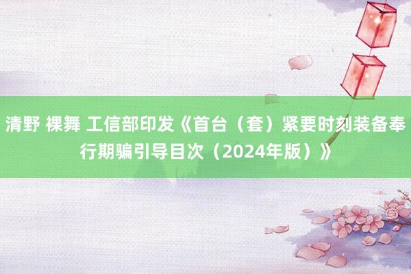 清野 裸舞 工信部印发《首台（套）紧要时刻装备奉行期骗引导目次（2024年版）》