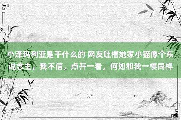 小泽玛利亚是干什么的 网友吐槽她家小猫像个东说念主，我不信，点开一看，何如和我一模同样