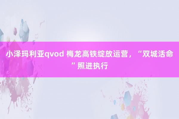 小泽玛利亚qvod 梅龙高铁绽放运营，“双城活命”照进执行