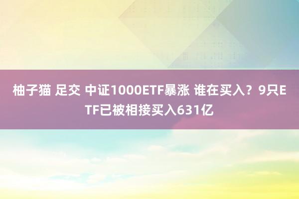 柚子猫 足交 中证1000ETF暴涨 谁在买入？9只ETF已被相接买入631亿