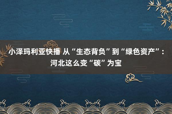 小泽玛利亚快播 从“生态背负”到“绿色资产”：河北这么变“碳”为宝