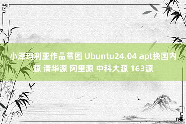 小泽玛利亚作品带图 Ubuntu24.04 apt换国内源 清华源 阿里源 中科大源 163源