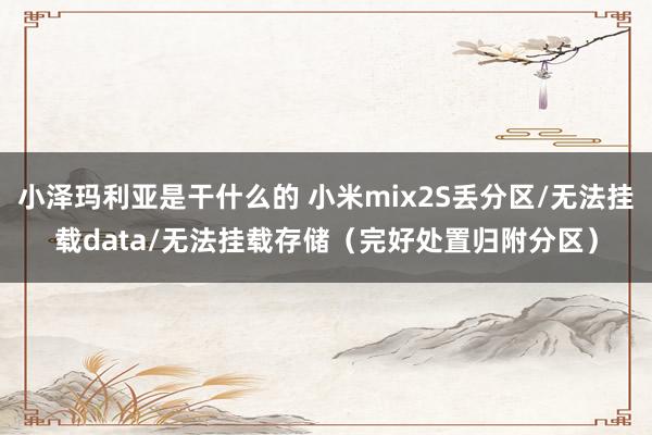 小泽玛利亚是干什么的 小米mix2S丢分区/无法挂载data/无法挂载存储（完好处置归附分区）