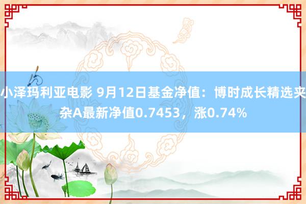 小泽玛利亚电影 9月12日基金净值：博时成长精选夹杂A最新净值0.7453，涨0.74%