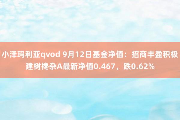 小泽玛利亚qvod 9月12日基金净值：招商丰盈积极建树搀杂A最新净值0.467，跌0.62%