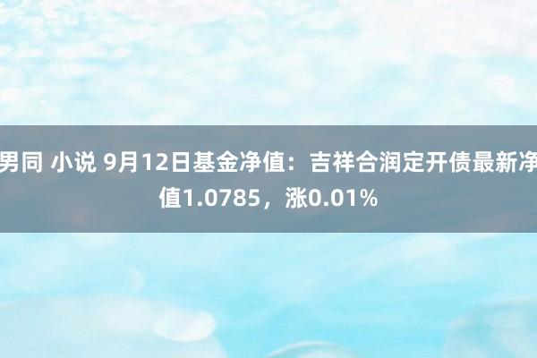 男同 小说 9月12日基金净值：吉祥合润定开债最新净值1.0785，涨0.01%