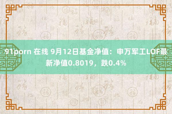 91porn 在线 9月12日基金净值：申万军工LOF最新净值0.8019，跌0.4%