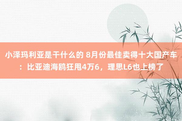 小泽玛利亚是干什么的 8月份最佳卖得十大国产车：比亚迪海鸥狂甩4万6，理思L6也上榜了