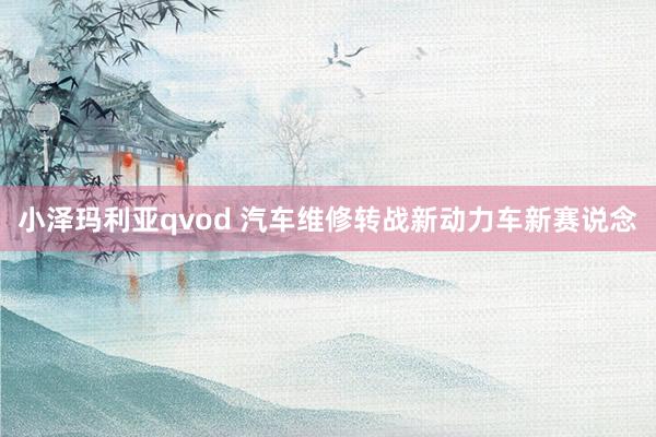 小泽玛利亚qvod 汽车维修转战新动力车新赛说念