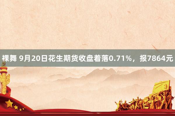 裸舞 9月20日花生期货收盘着落0.71%，报7864元