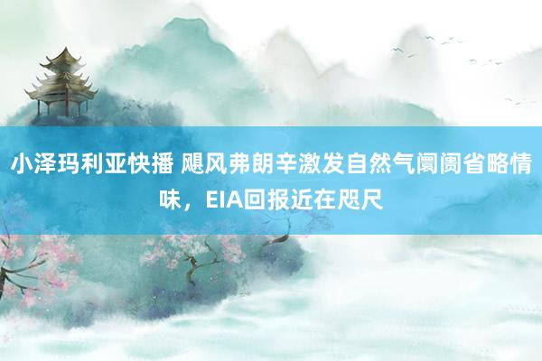 小泽玛利亚快播 飓风弗朗辛激发自然气阛阓省略情味，EIA回报近在咫尺