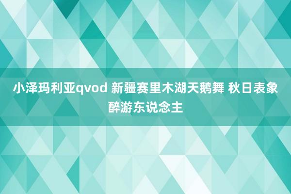 小泽玛利亚qvod 新疆赛里木湖天鹅舞 秋日表象醉游东说念主