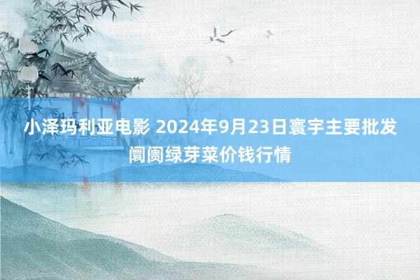 小泽玛利亚电影 2024年9月23日寰宇主要批发阛阓绿芽菜价钱行情