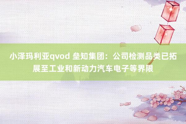 小泽玛利亚qvod 垒知集团：公司检测品类已拓展至工业和新动力汽车电子等界限