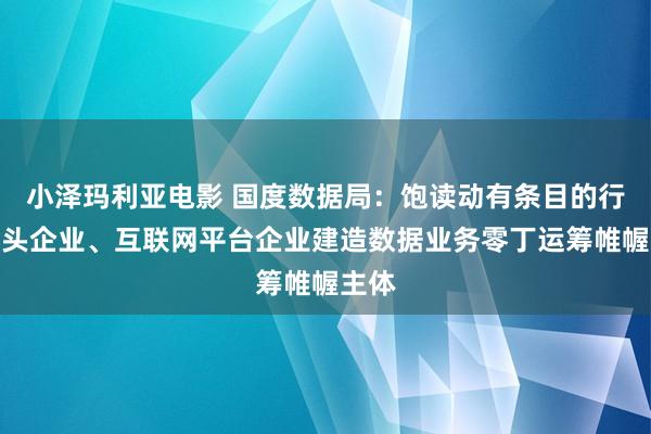 小泽玛利亚电影 国度数据局：饱读动有条目的行业龙头企业、互联网平台企业建造数据业务零丁运筹帷幄主体