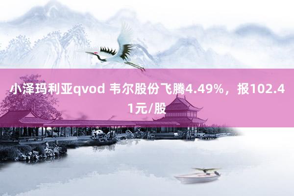 小泽玛利亚qvod 韦尔股份飞腾4.49%，报102.41元/股