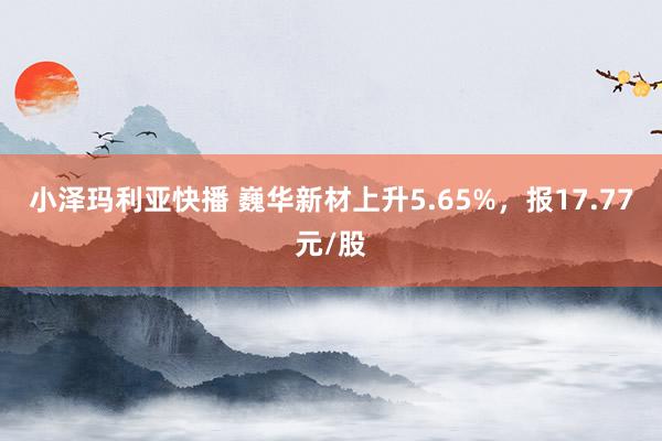 小泽玛利亚快播 巍华新材上升5.65%，报17.77元/股