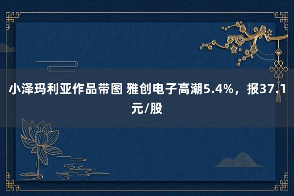 小泽玛利亚作品带图 雅创电子高潮5.4%，报37.1元/股