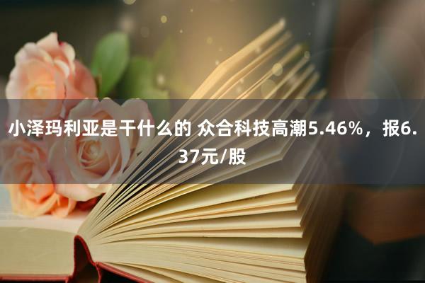 小泽玛利亚是干什么的 众合科技高潮5.46%，报6.37元/股