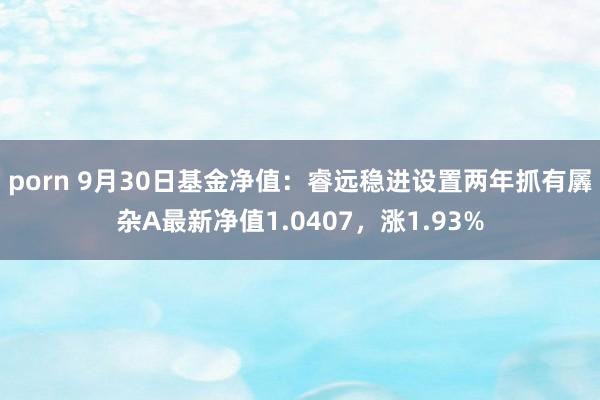 porn 9月30日基金净值：睿远稳进设置两年抓有羼杂A最新净值1.0407，涨1.93%