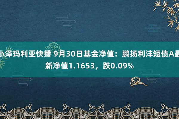 小泽玛利亚快播 9月30日基金净值：鹏扬利沣短债A最新净值1.1653，跌0.09%