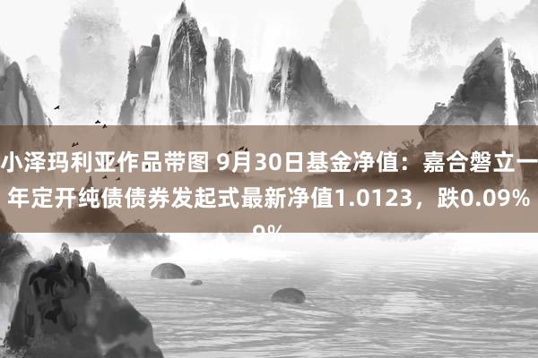 小泽玛利亚作品带图 9月30日基金净值：嘉合磐立一年定开纯债债券发起式最新净值1.0123，跌0.09%