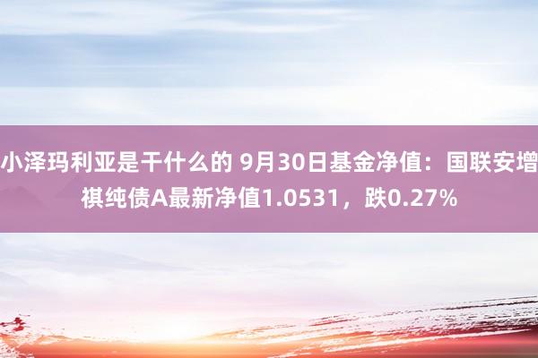 小泽玛利亚是干什么的 9月30日基金净值：国联安增祺纯债A最新净值1.0531，跌0.27%