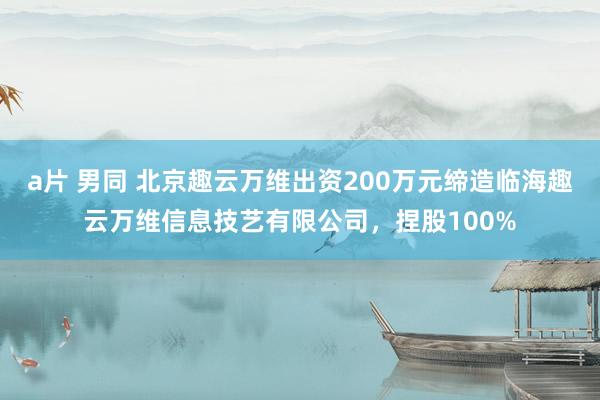 a片 男同 北京趣云万维出资200万元缔造临海趣云万维信息技艺有限公司，捏股100%