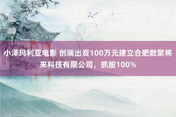 小泽玛利亚电影 创瑞出资100万元建立合肥数聚将来科技有限公司，抓股100%