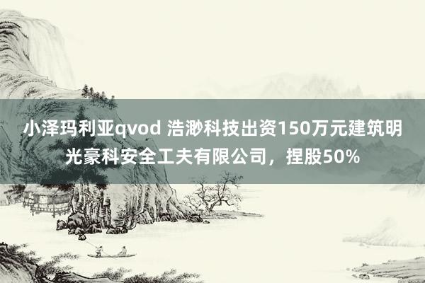 小泽玛利亚qvod 浩渺科技出资150万元建筑明光豪科安全工夫有限公司，捏股50%