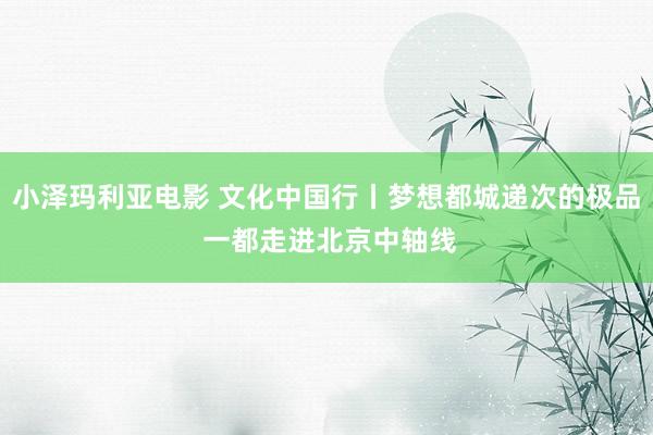 小泽玛利亚电影 文化中国行丨梦想都城递次的极品 一都走进北京中轴线