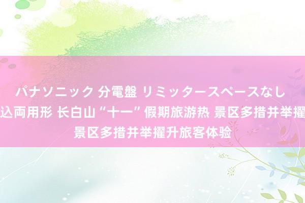 パナソニック 分電盤 リミッタースペースなし 露出・半埋込両用形 长白山“十一”假期旅游热 景区多措并举擢升旅客体验