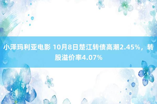 小泽玛利亚电影 10月8日楚江转债高潮2.45%，转股溢价率4.07%