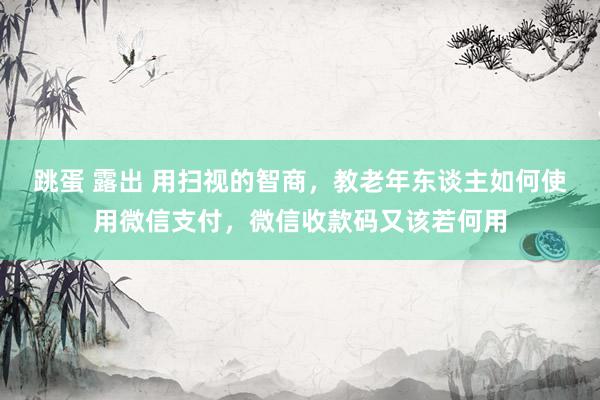 跳蛋 露出 用扫视的智商，教老年东谈主如何使用微信支付，微信收款码又该若何用