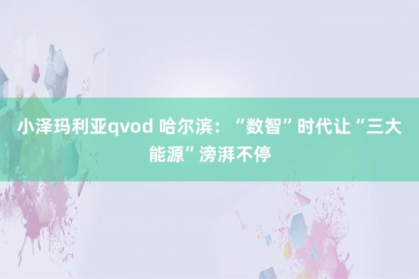 小泽玛利亚qvod 哈尔滨：“数智”时代让“三大能源”滂湃不停