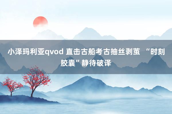 小泽玛利亚qvod 直击古船考古抽丝剥茧  “时刻胶囊”静待破译