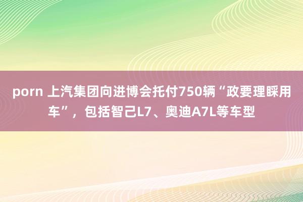 porn 上汽集团向进博会托付750辆“政要理睬用车”，包括智己L7、奥迪A7L等车型