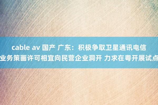 cable av 国产 广东：积极争取卫星通讯电信业务策画许可相宜向民营企业洞开 力求在粤开展试点